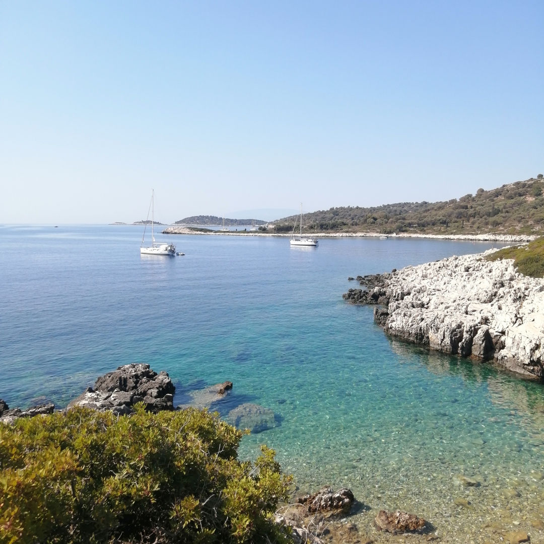 Catamaran Cruises