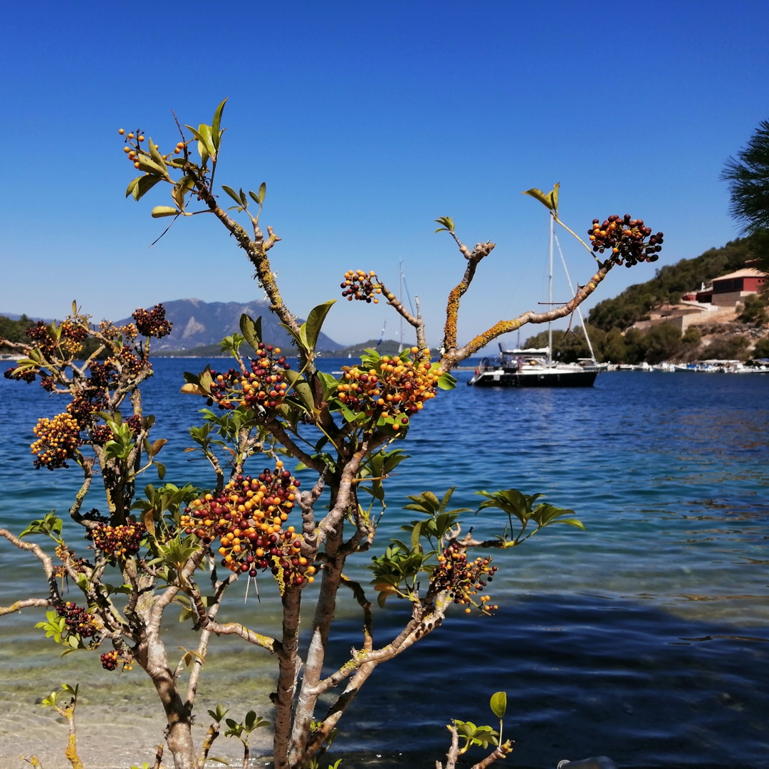 Stunning views on Meganisi Island